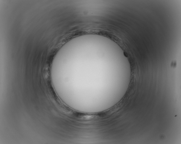 X0000111050323200906251126