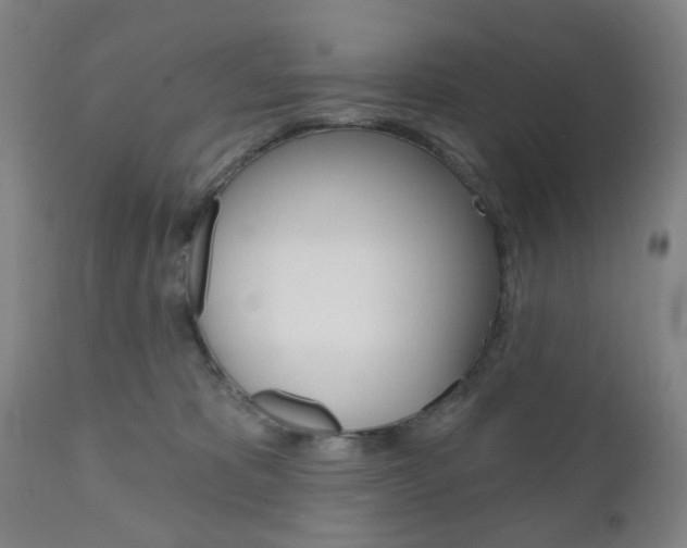 X0000111050325200906251126