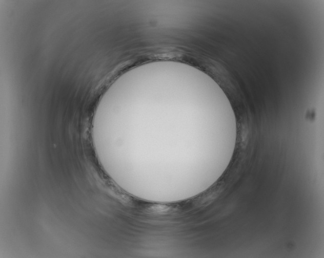 X0000111050326200906251126