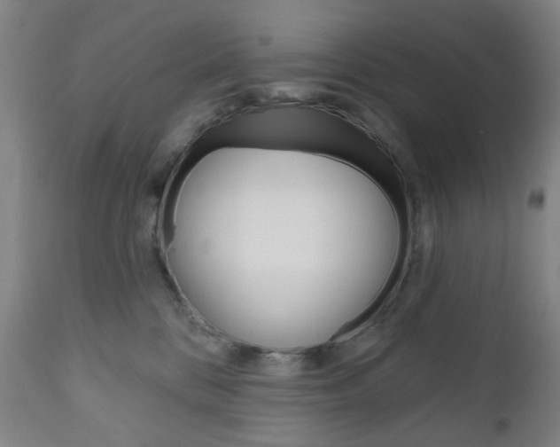 X0000111050328200906251126