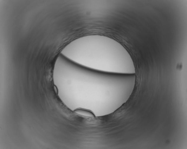 X0000111050331200906251126