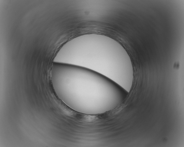 X0000111050333200906251126