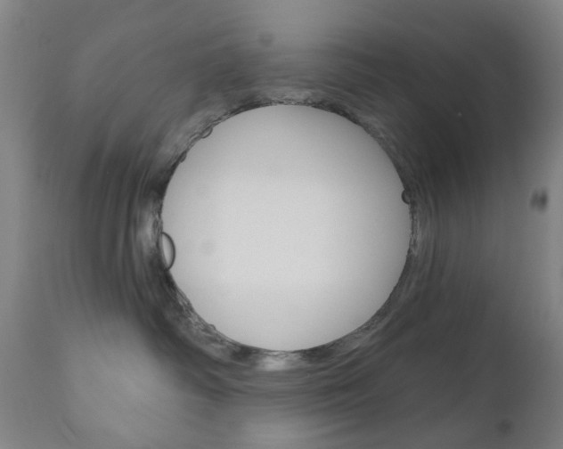 X0000111050334200906251126