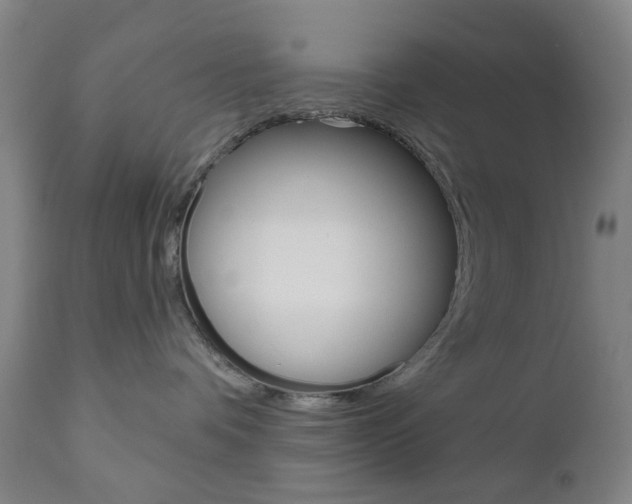 X0000111050336200906251126