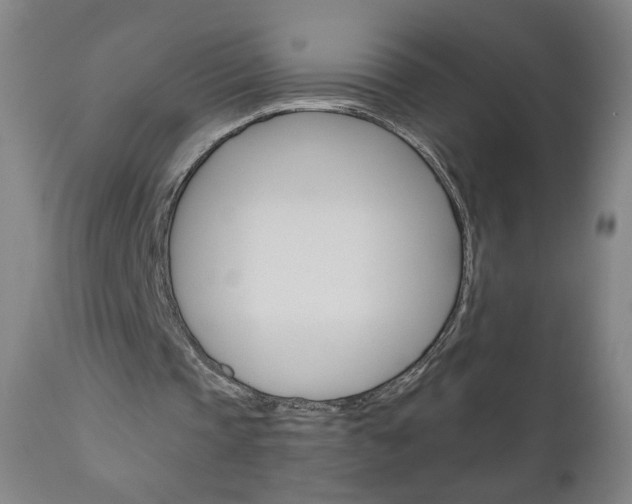 X0000111050337200906251125