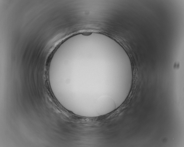 X0000111050338200906251125