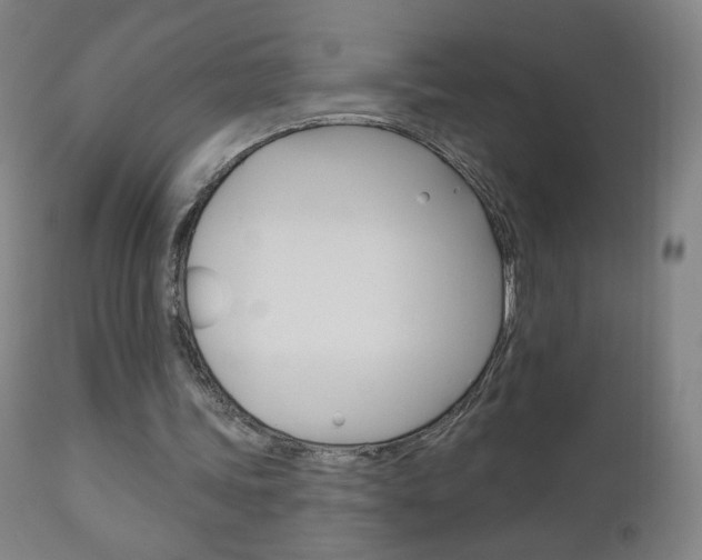 X0000111050339200906251125