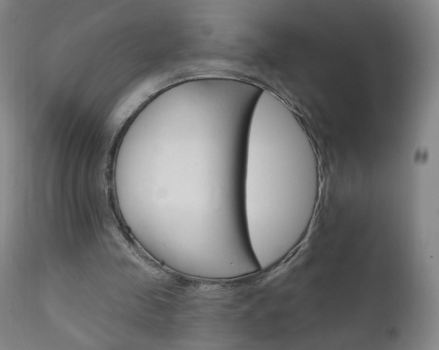 X0000111050341200906251125