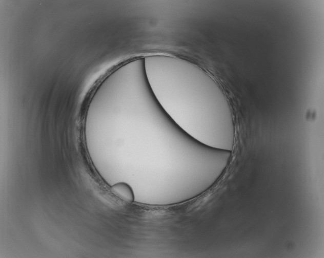 X0000111050342200906251125