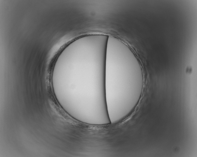 X0000111050343200906251125