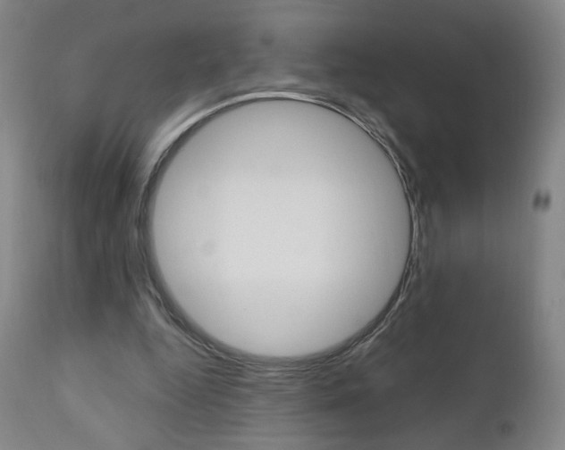 X0000111050344200906251125