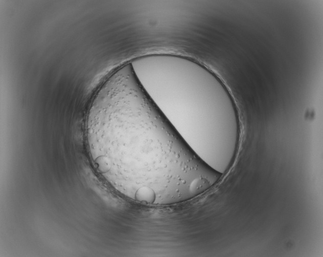 X0000111050345200906251125