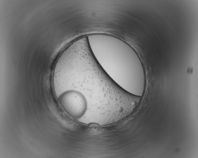 X0000111050346200906251125