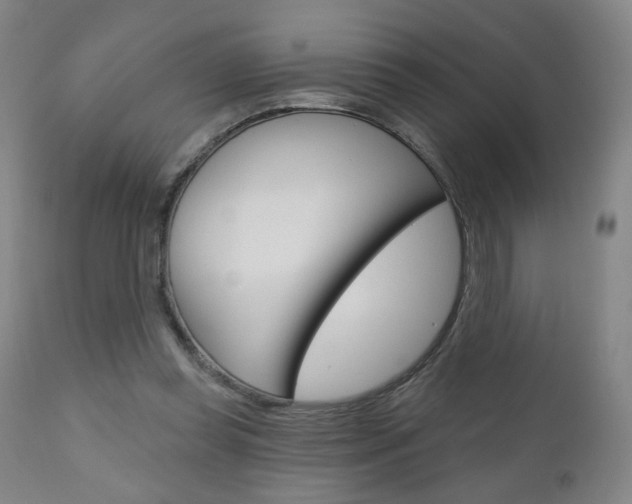 X0000111050349200906251125