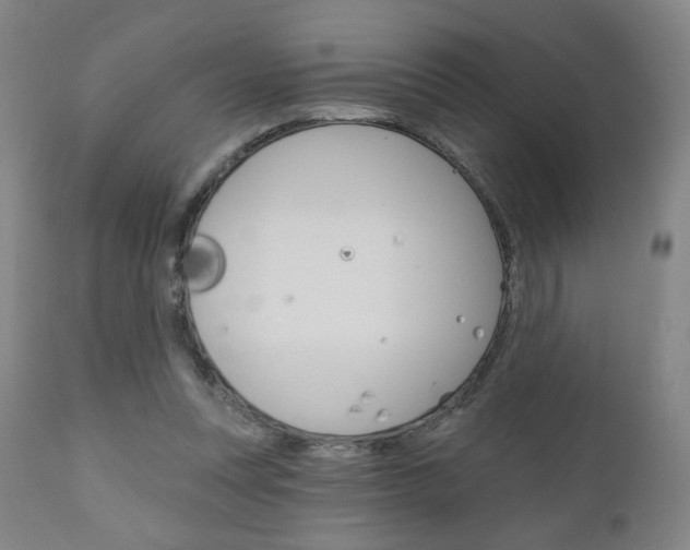 X0000111050351200906251125