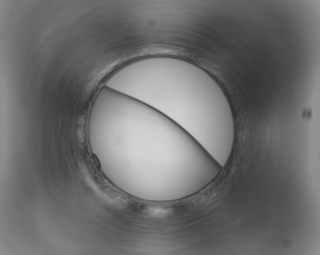 X0000111050352200906251125