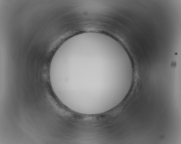 X0000111050353200906251125