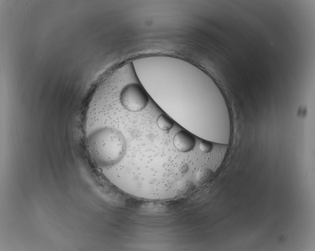X0000111050354200906251125