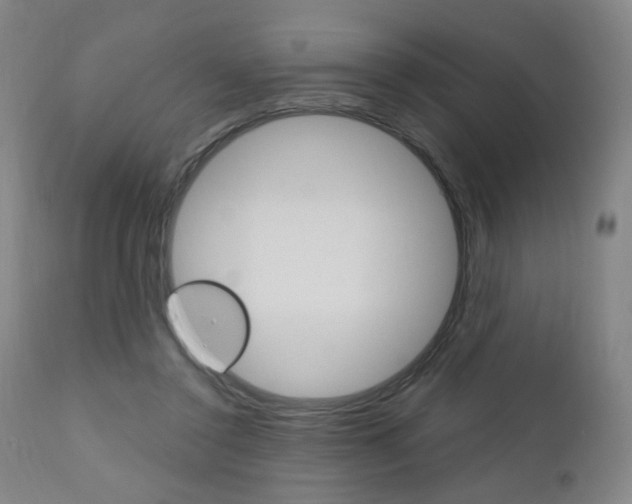 X0000111050356200906251125