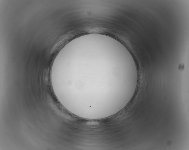X0000111050357200906251125