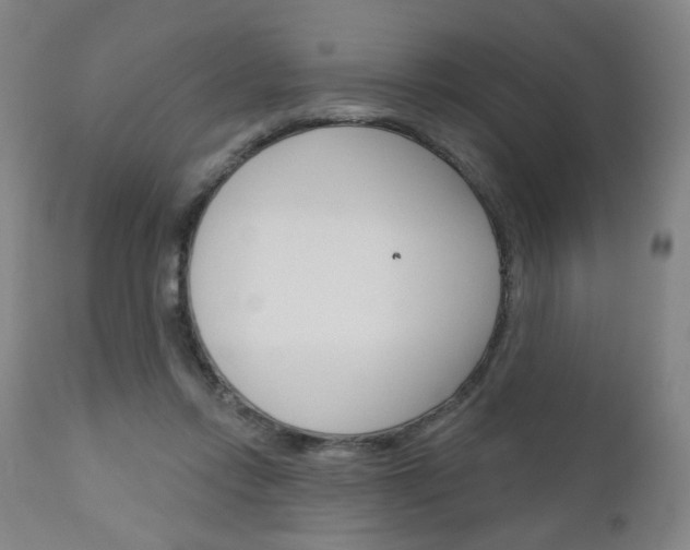 X0000111050358200906251125