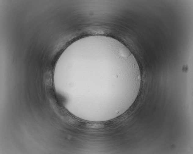 X0000111050359200906251125
