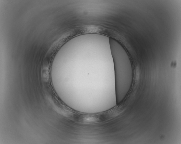 X0000111050360200906251125