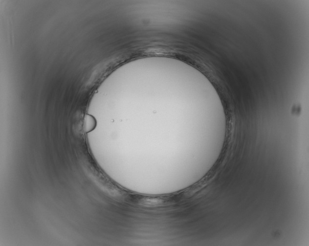 X0000111050361200906251125