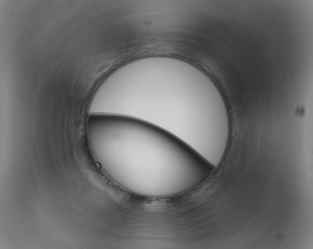 X0000111050362200906251125