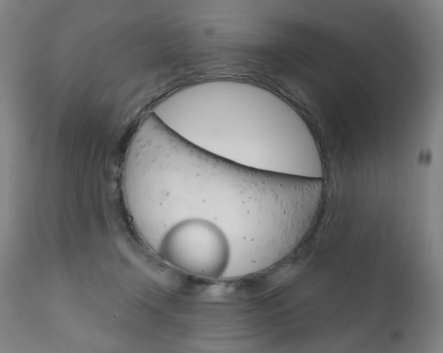 X0000111050366200906251125