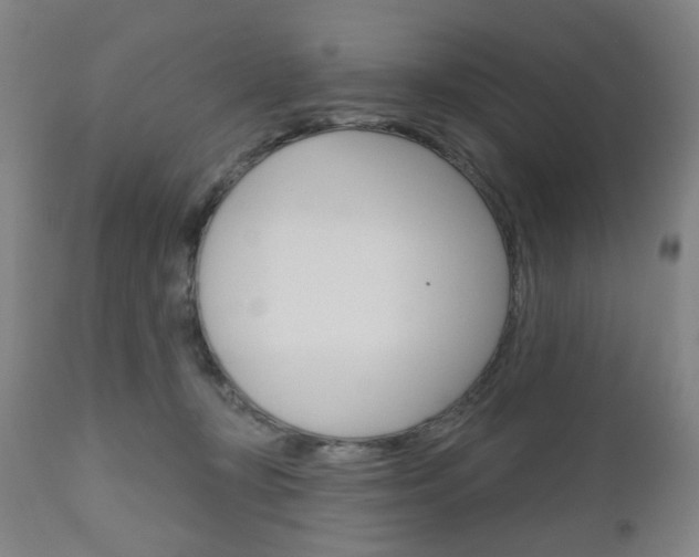 X0000111050367200906251125