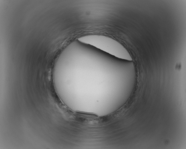 X0000111050368200906251125