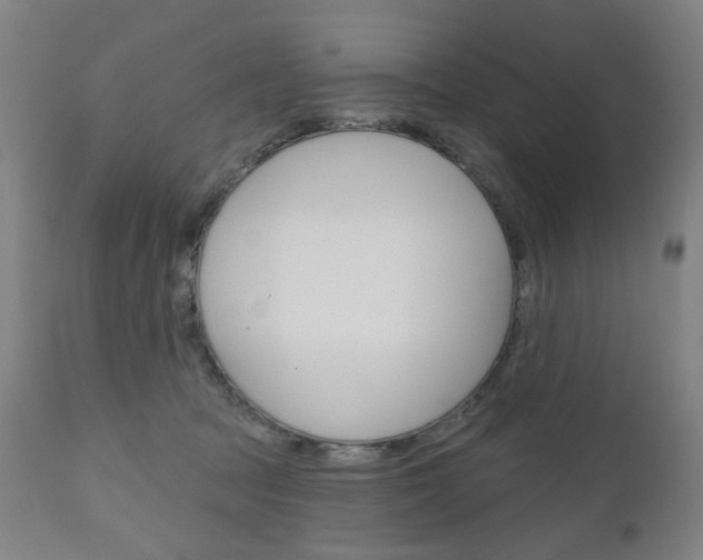 X0000111050369200906251125