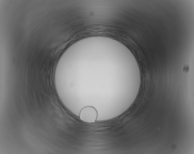 X0000111050372200906251125