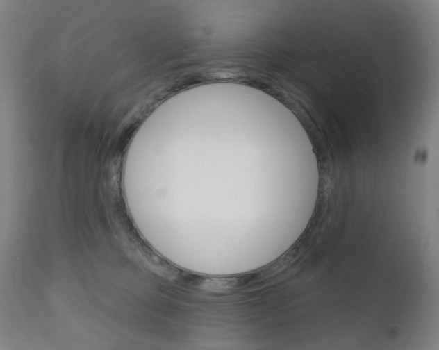 X0000111050373200906251125