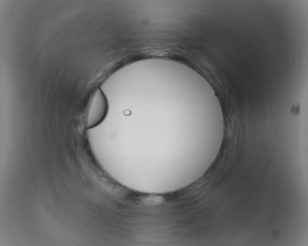 X0000111050374200906251125