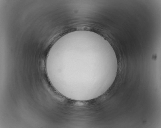 X0000111050375200906251125