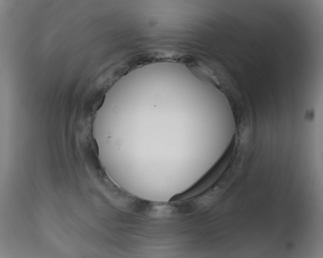 X0000111050376200906251125