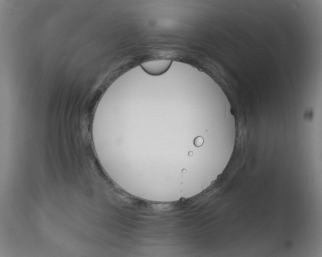 X0000111050377200906251126