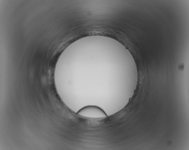 X0000111050378200906251126