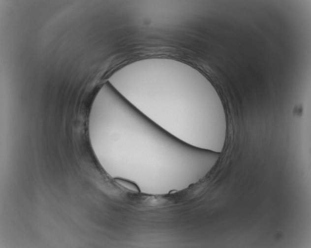 X0000111050379200906251126