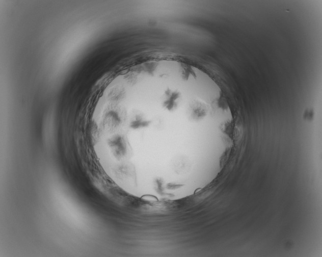 X0000111050381200906251126