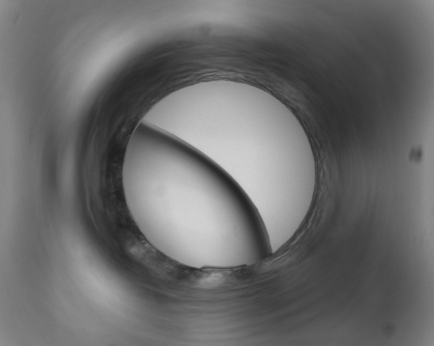 X0000111050382200906251126