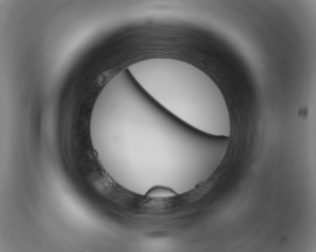 X0000111050383200906251126