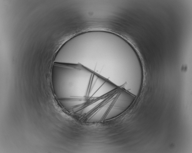 X0000111050385200906251125