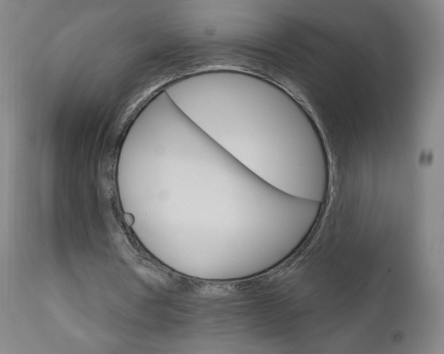 X0000111050386200906251125