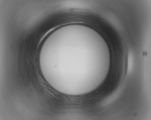 X0000111050387200906251125