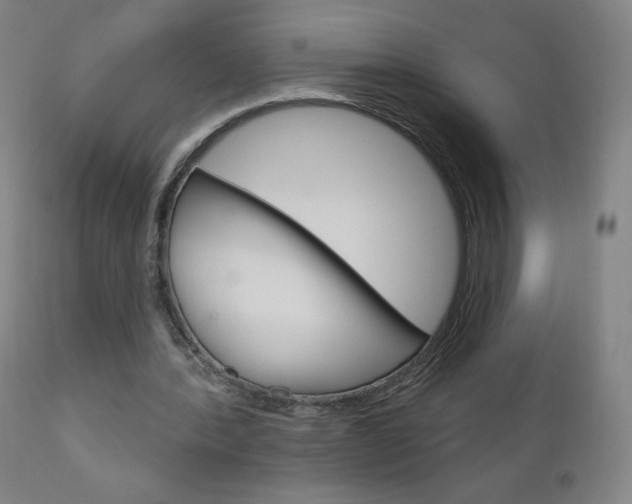 X0000111050388200906251125
