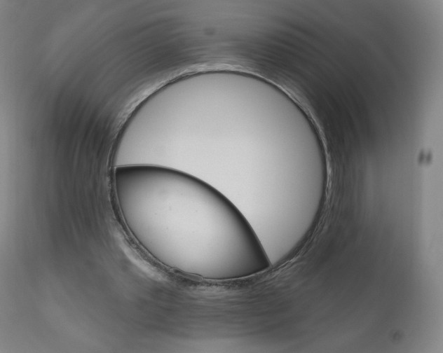 X0000111050389200906251125