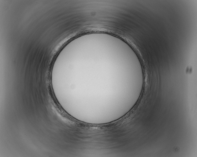 X0000111050390200906251125